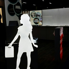 Custom Light Panel Woman